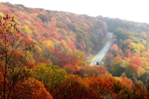 An RV can be seen driving in the distance along the Ottawa Valley coast in fall