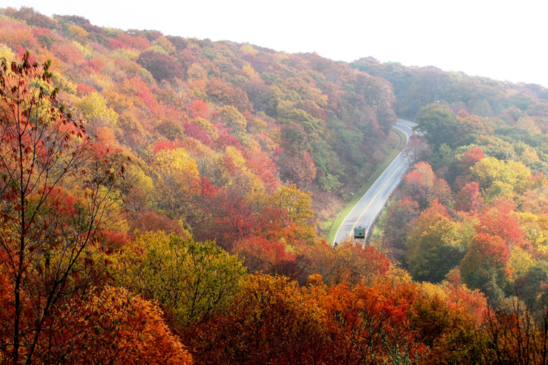 An RV can be seen driving in the distance along the Ottawa Valley coast in fall