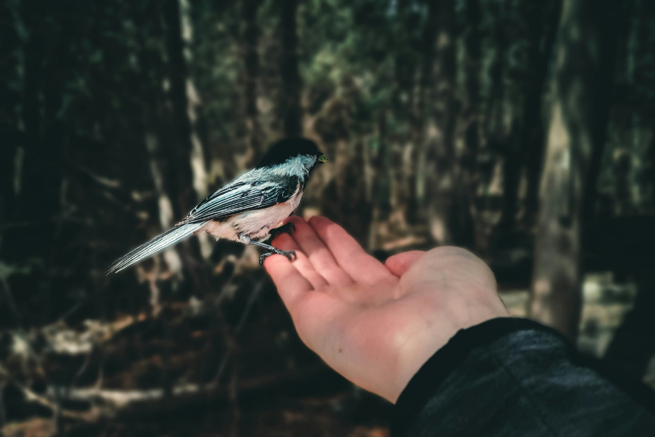 Photo by Ali Kazal on Unsplash
