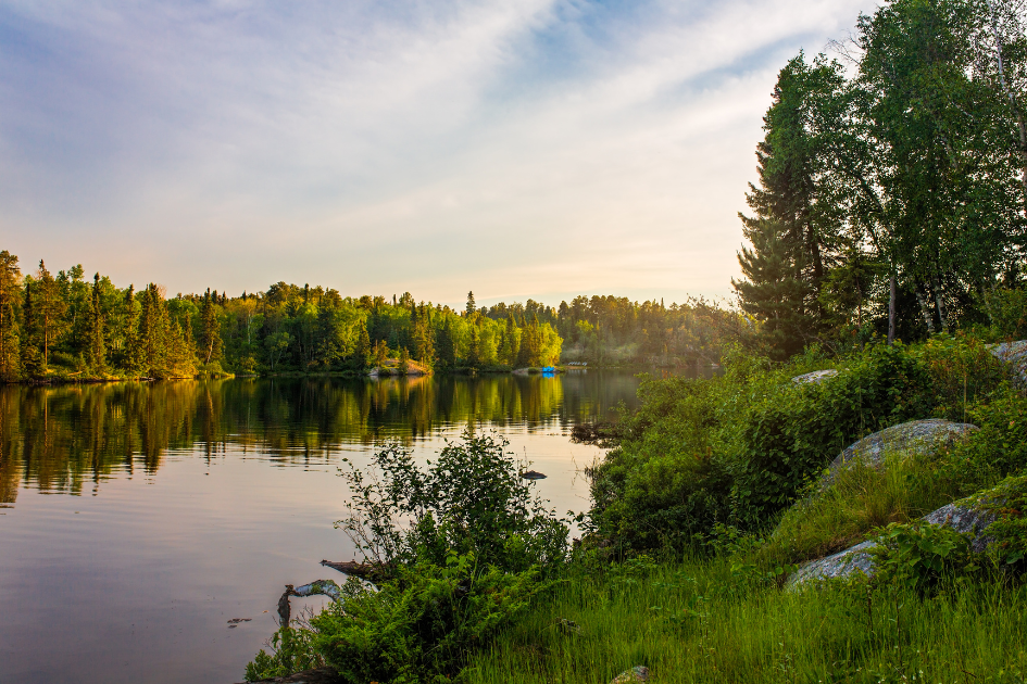Open landscape near the water
