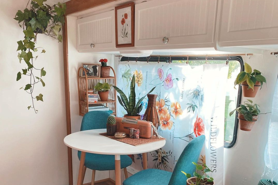 RV kitchen decorated with plants